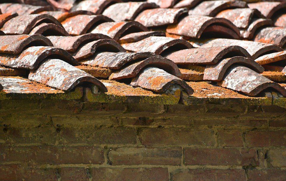 Mold on roof