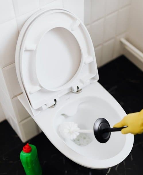 cleaning an elongated toilet