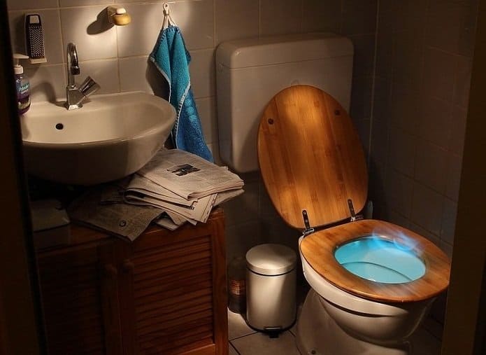 Wood Vs Plastic Toilet Seat