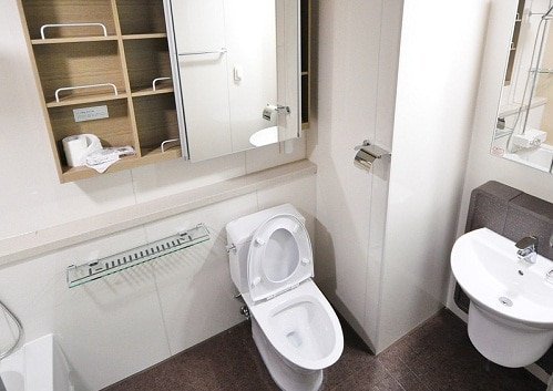 Low profile toilet with elongated bowl