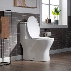 Are Woodbridge Toilets Good?