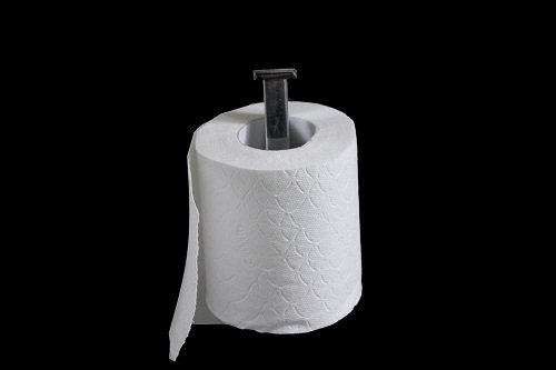 A roll of toilet paper