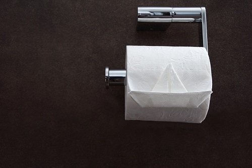 Flushable toilet paper