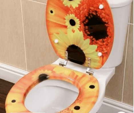 A painted and sealed toilet seat