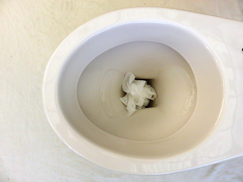 Can You Flush Paper Towels?