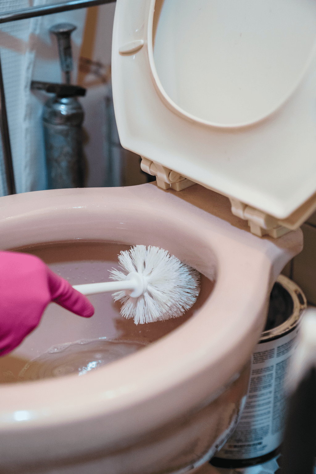 Scrub your toilet, using toilet bowl cleaners. Don't forget to clean the whole toilet, including the toilet seat