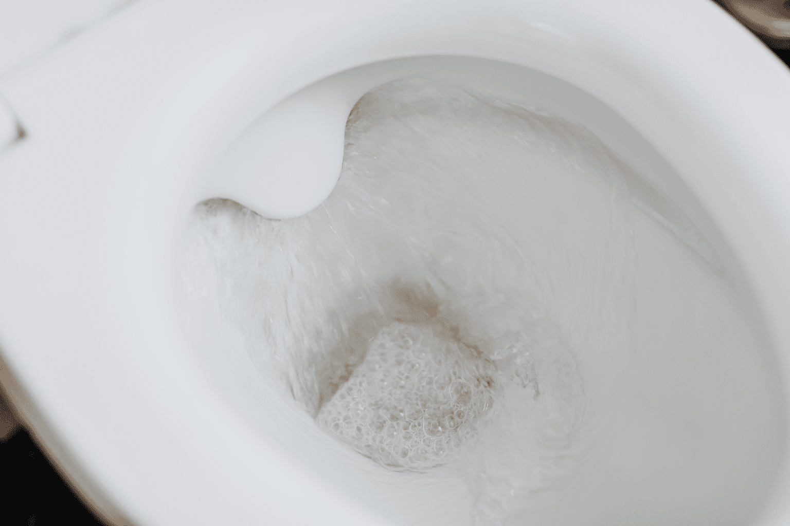 Your toilet can easily clog when you flush things you shouldn't 