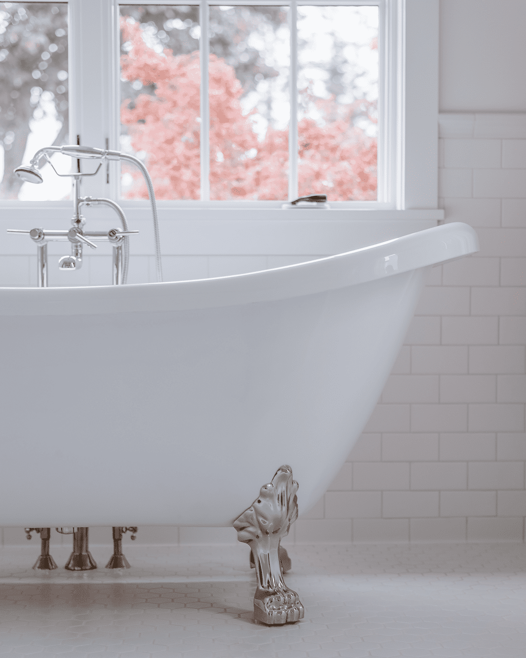 A mushroom grows in humid conditions found in bathrooms 