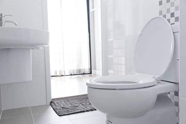 Round Toilet Vs Elongated Toilet